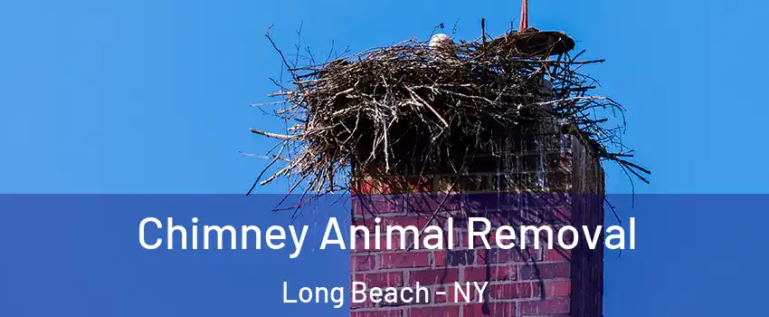 Chimney Animal Removal Long Beach - NY