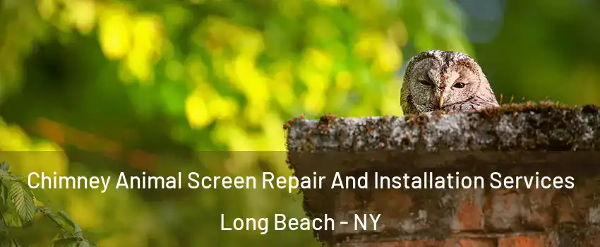  Chimney Animal Screen Repair And Installation Services Long Beach - NY
