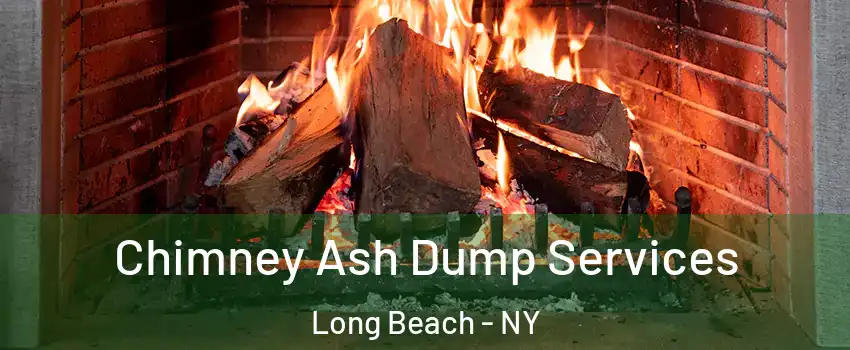  Chimney Ash Dump Services Long Beach - NY