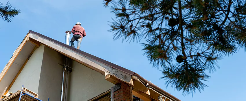Birds Removal Contractors from Chimney in Long Beach, NY