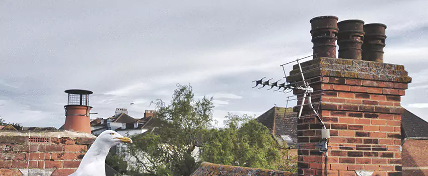 Chimney Cleaning And Restoration in Long Beach, New York